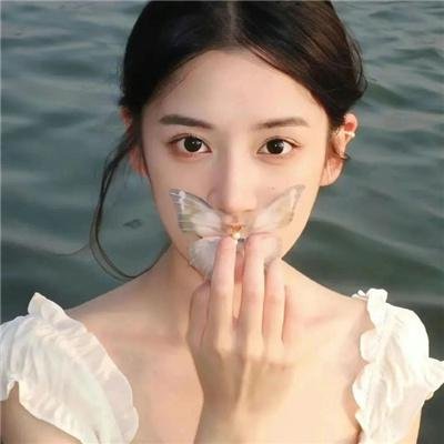 剧组的故事