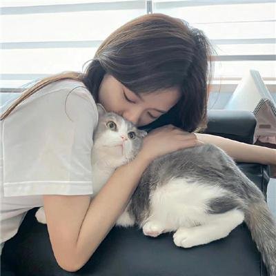 快乐的小鸡